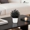 2 Pack Small Black Fake Plants Artificial Potted Plants for Halloween Decor Table Desk Home Office Black Bathroom Decor